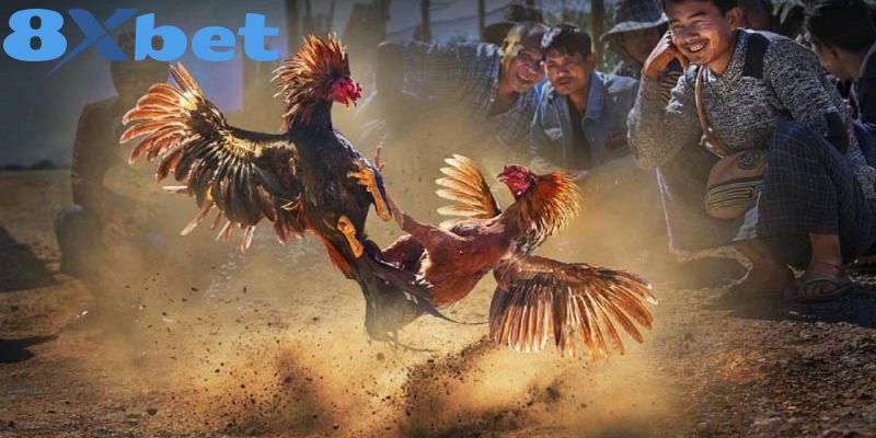 Chiến thuật quan trọng trong các trận chiến