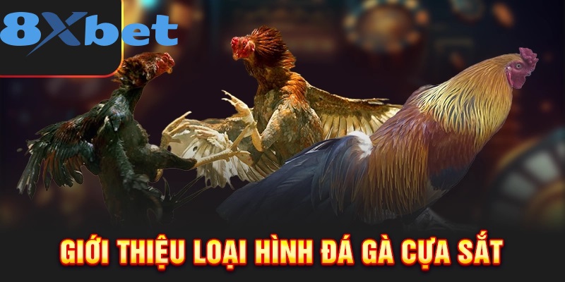 Giới thiệu về Đá Gà Cựa Sắt