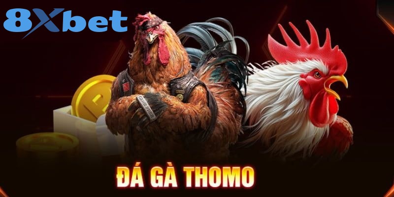 Lịch sử hình thành và phát triển của Đá Gà Thomo