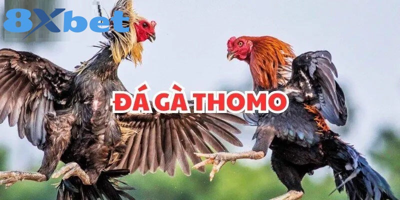 Những lưu ý quan trọng mà người chơi cần quan tâm